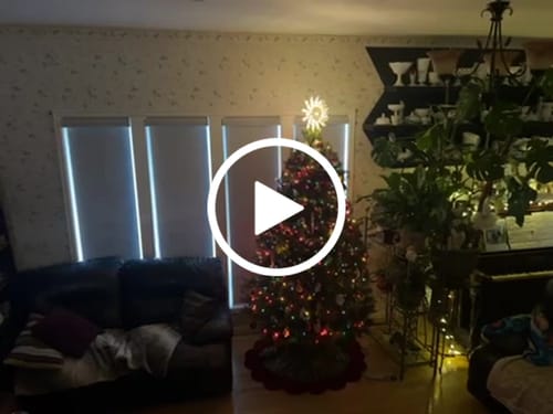 Customer video review of SmartWings Motorized Roller Shades 100% Blackout Safari