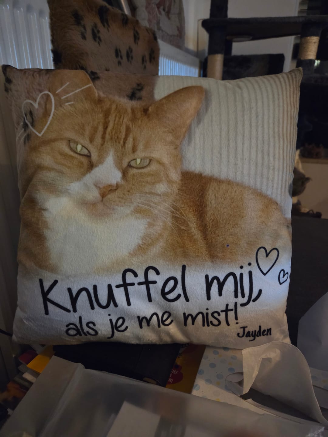 Customer photo review of Knuffel mij als je me mist - Gepersonaliseerde kussen