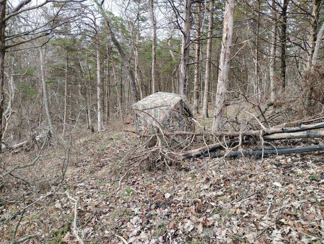Customer photo review of Vis360 See Through Silent 4 Full Panels Deer Hunting Blind