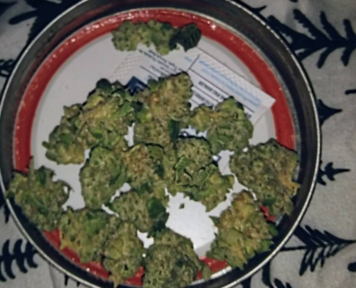 Customer photo review of OG Kush THCA Flower