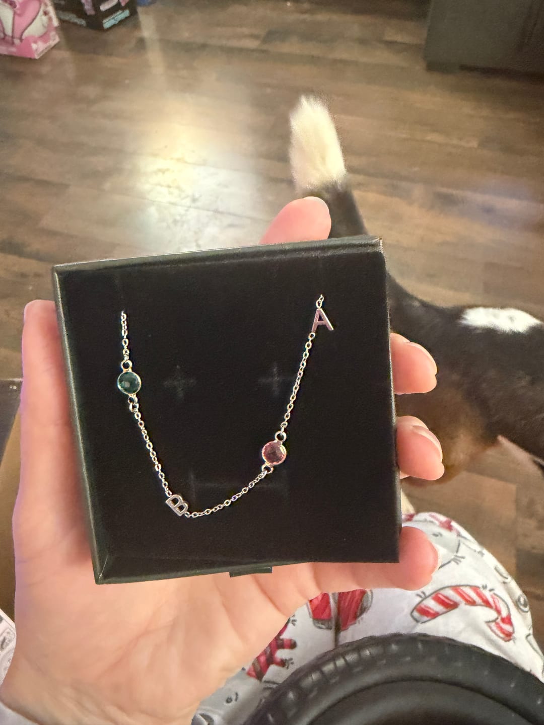 Customer photo review of Birthstone Initial Necklace