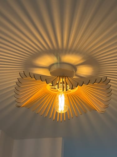 Customer photo review of Rose | Plafonnier