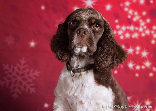 Customer photo review of Bestie Balance