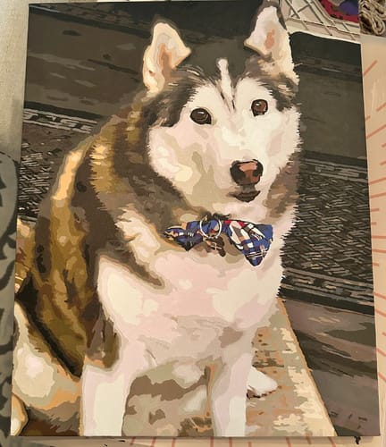 Customer photo review of Custom Pet Paint By Numbers