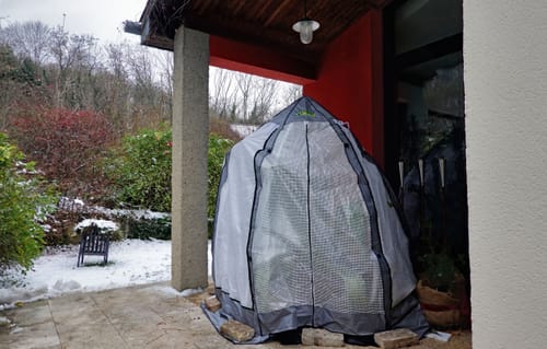 Customer photo review of Überwinterungszelt "Tropical Island Breeze L" für Pflanzen H 200 x Ø 240 cm