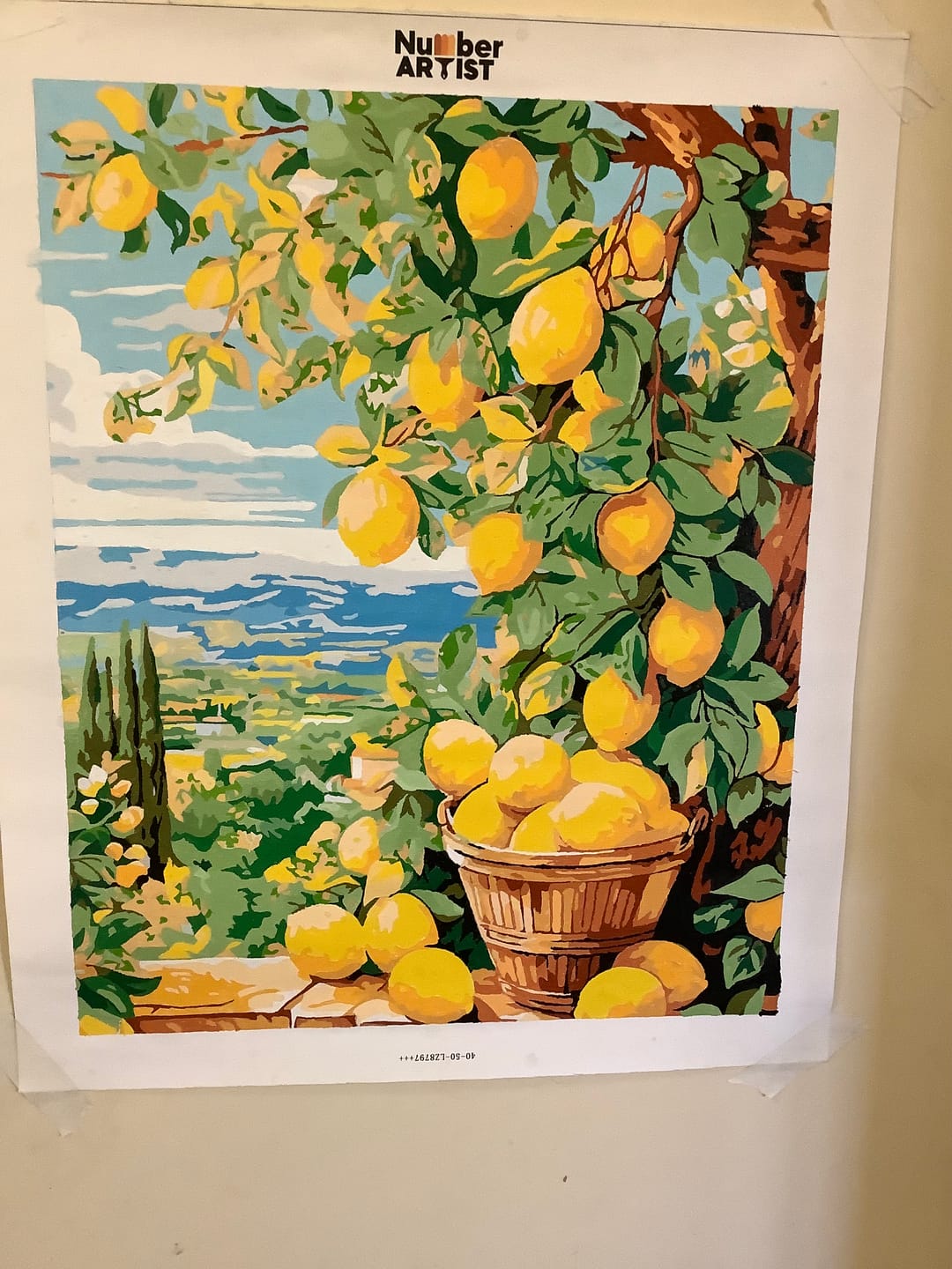 Customer photo review of Bounty Lemons