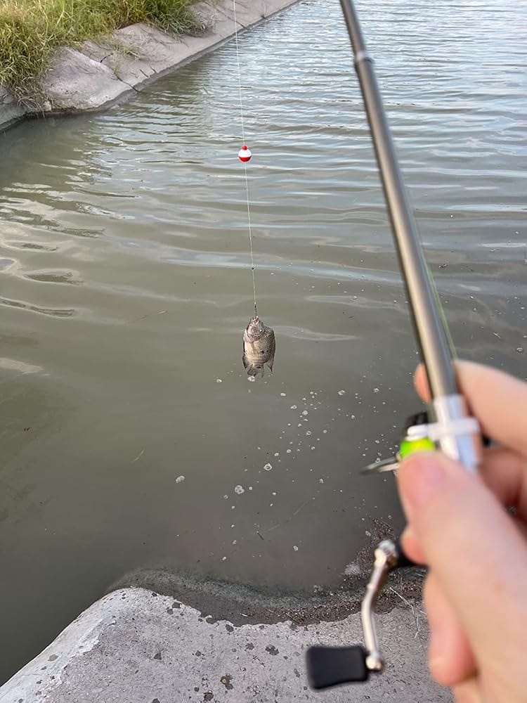 Customer photo review of The FishiPen™ Spinning Rod