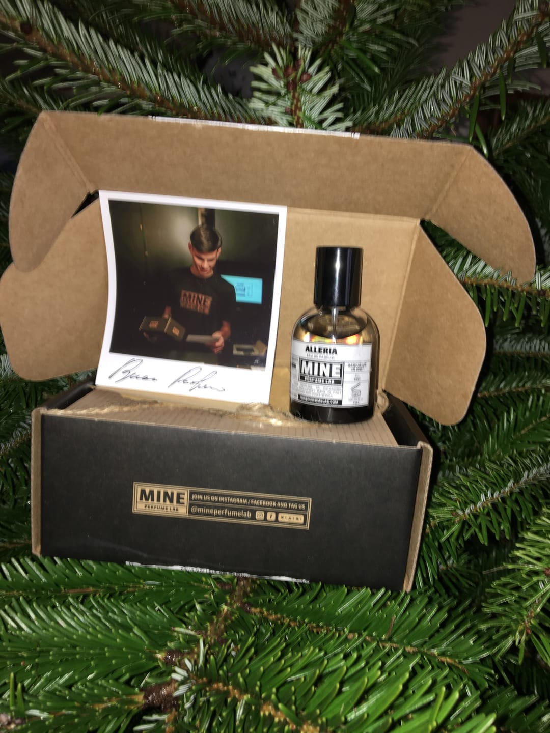 Customer photo review of ALLERIA