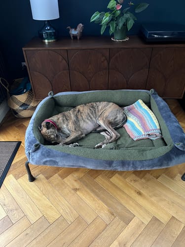 Customer photo review of Khaki Boucle & Grey Cuddle Soft Luxury Nest