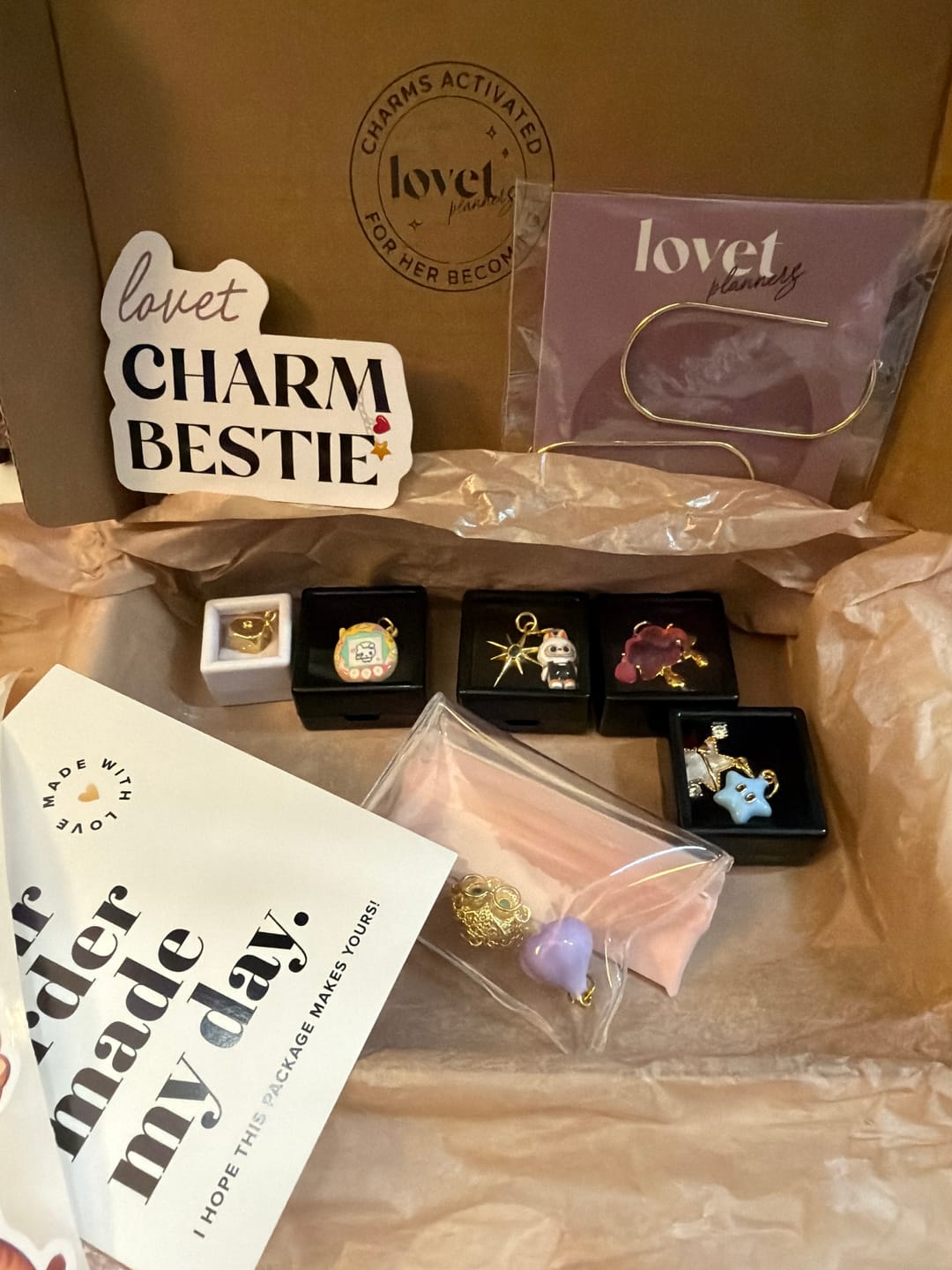 Customer photo review of Pick Your Charm TT LIVE (7 CHARM BUNDLE)
