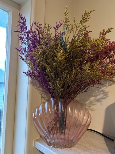 Customer photo review of Limonium - Pink