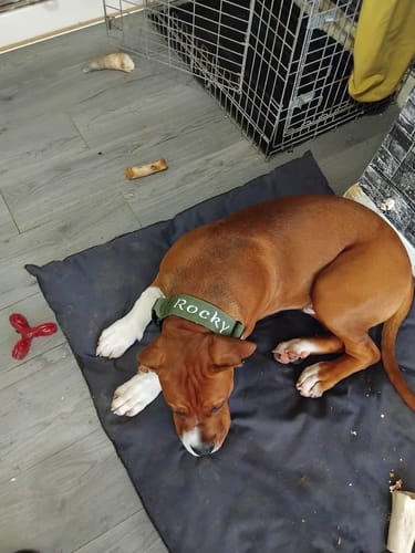 Customer photo review of Embroidery Customisation