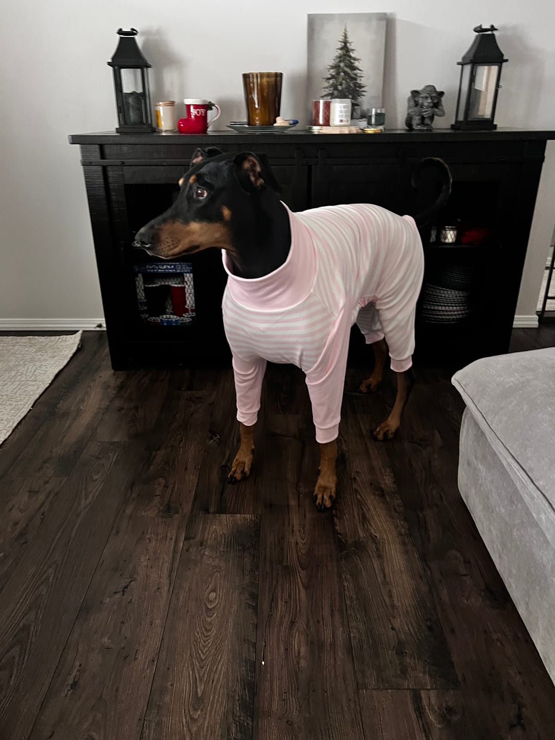 Customer photo review of Dog Pajama - Pink Stripes