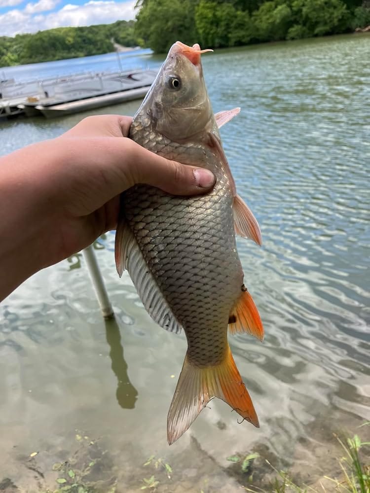 Customer photo review of The FishiPen™ Spinning Rod