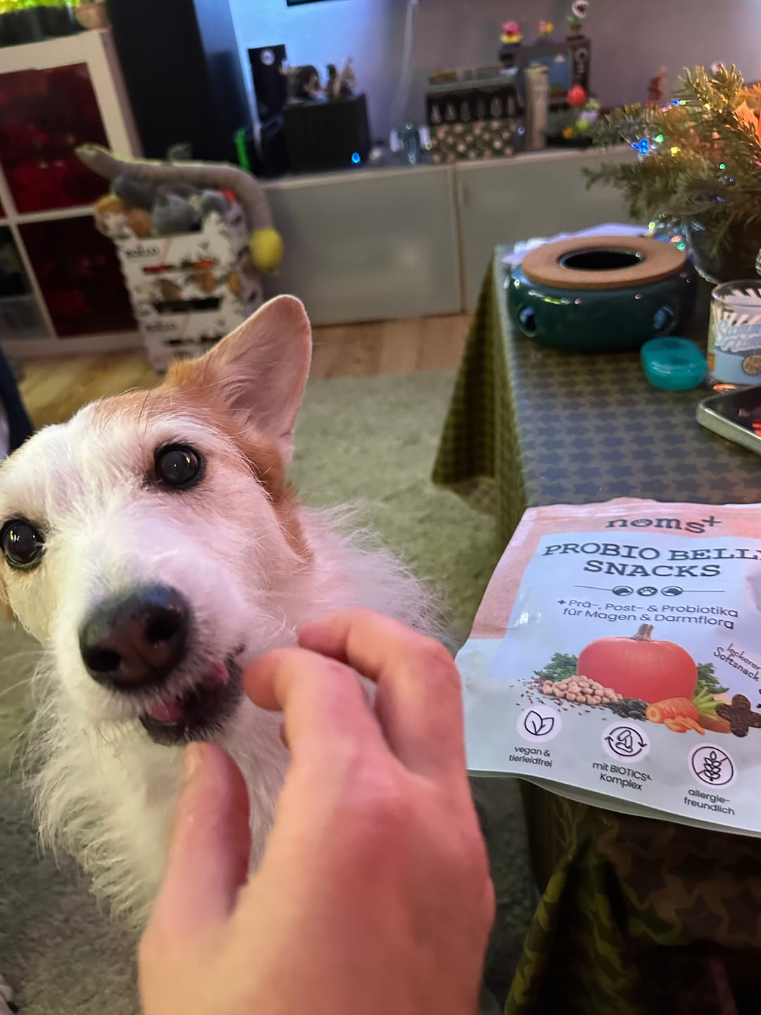 Customer photo review of Verdauungsmix für Hunde als Probiotikum für Magen- & Darmflora