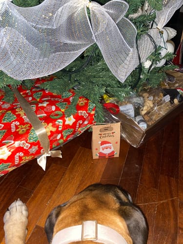 Customer photo review of Collana dell'Amore ♡