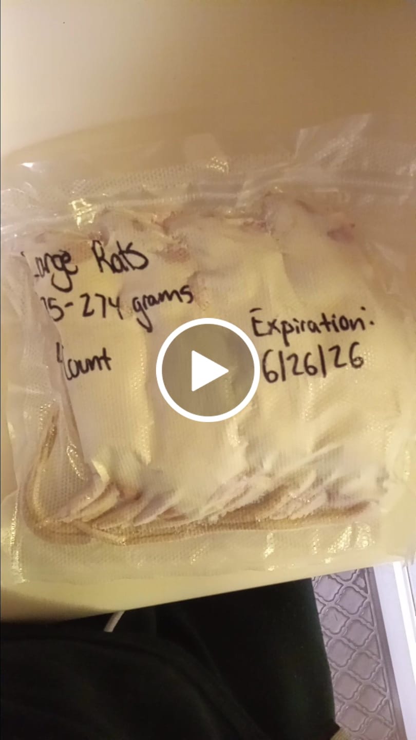 Customer video review of Medium Rats (10 Per Bag)