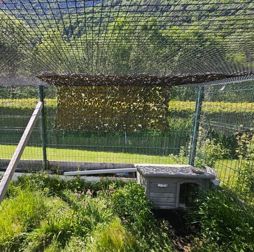 Customer photo review of Woodland camouflagenet