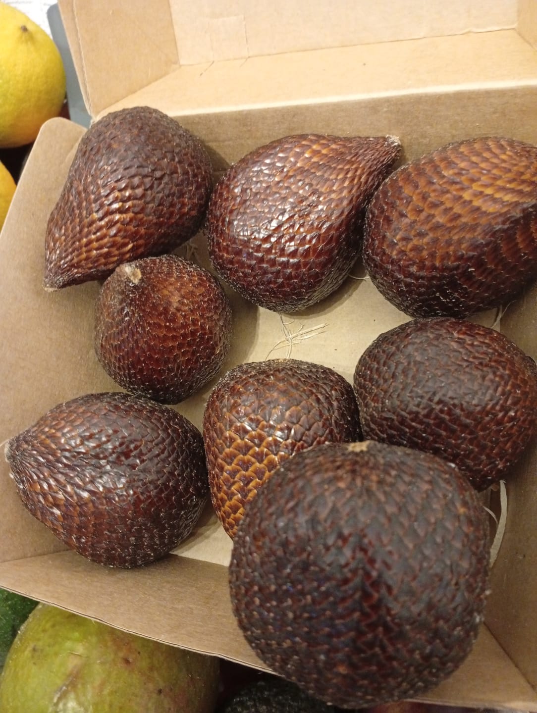 Customer photo review of Salak (Schlangenfrucht) Weihnachtsaktion %