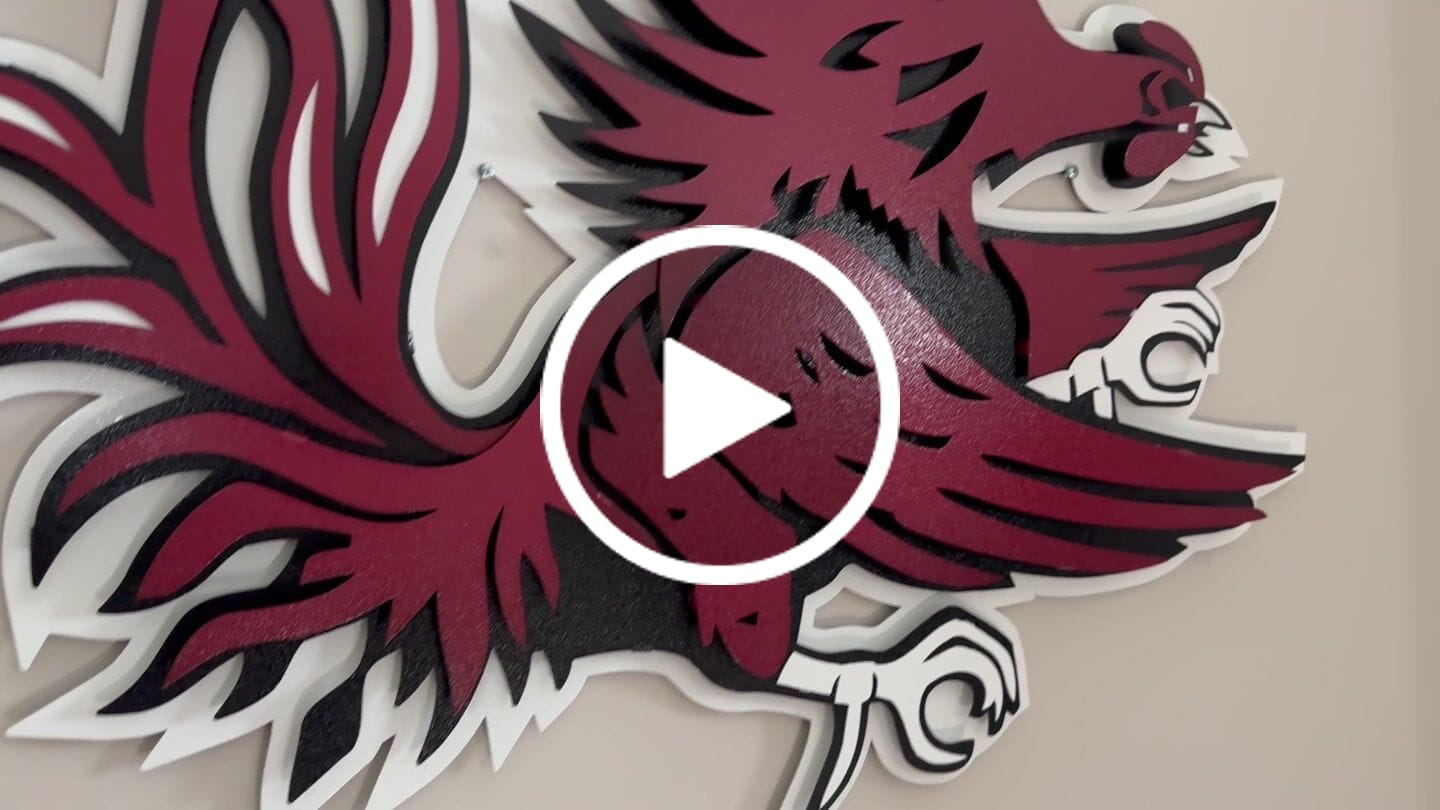 Customer video review of South Carolina Gamecocks 3D Vintage Metal Wall Art