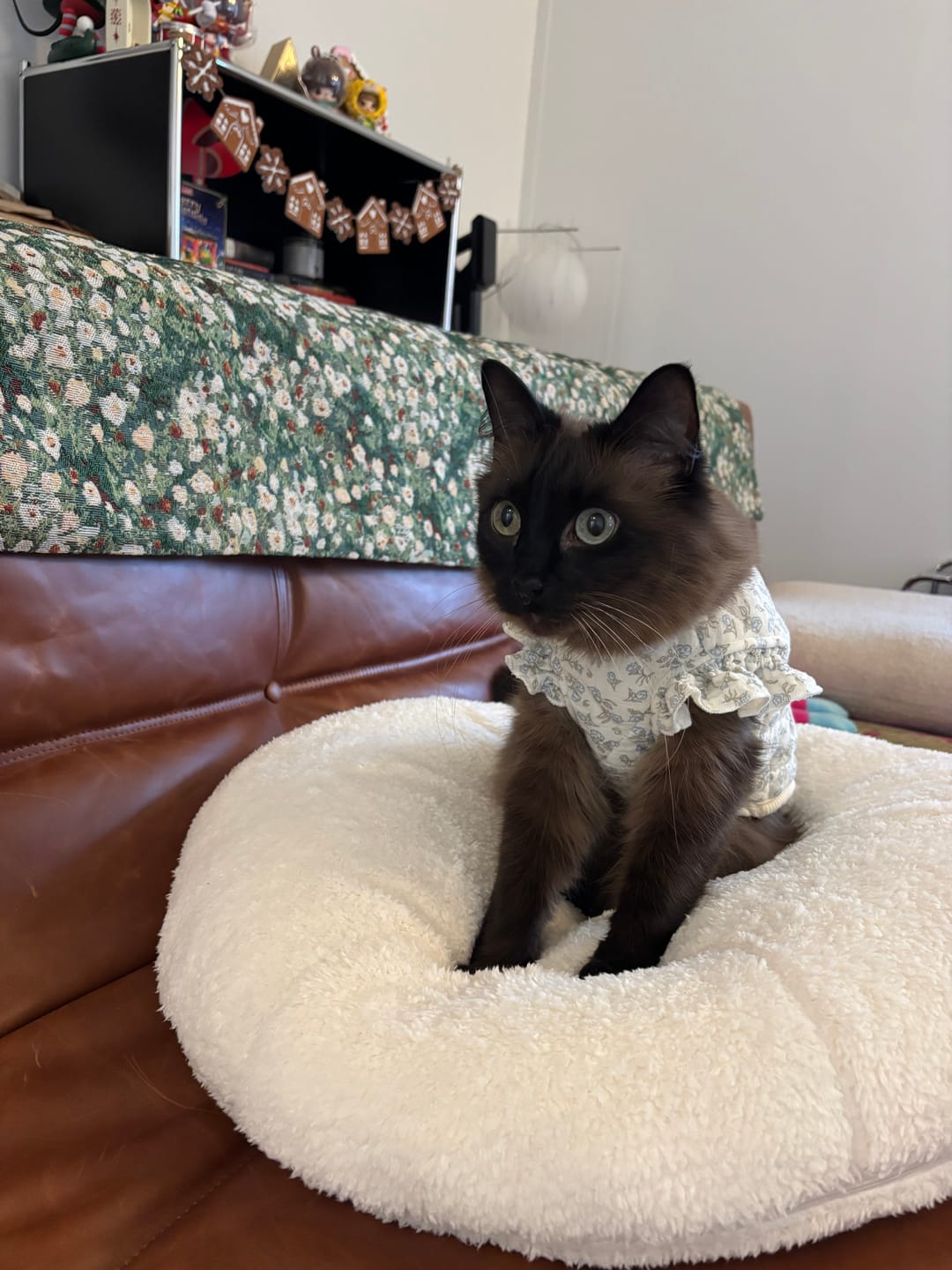 Customer photo review of Marshmallow Pudding Bed
