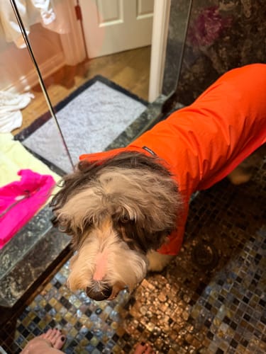 Customer photo review of Nylon Rainbreaker