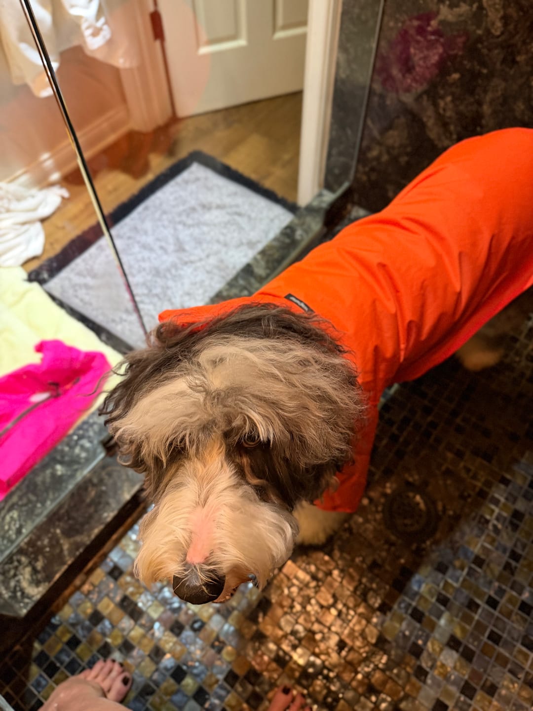 Customer photo review of Nylon Rainbreaker