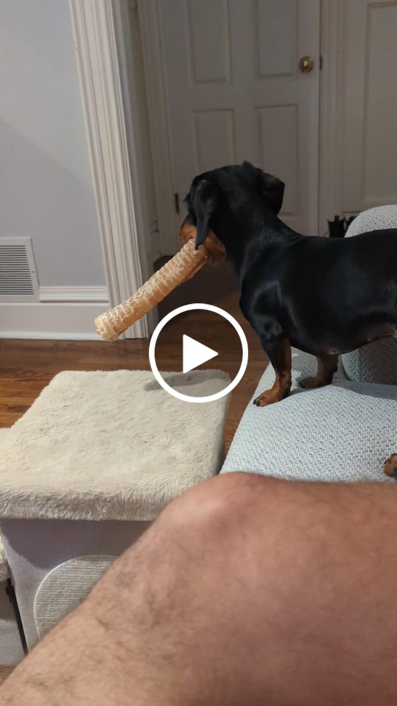 Customer video review of 6 Inch Trachea Wrapped in Jerky