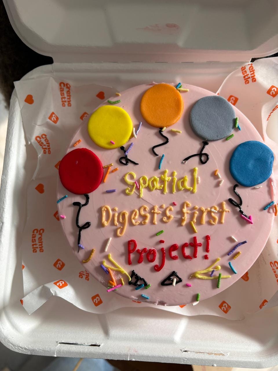 Customer photo review of Balloon Bento Cake