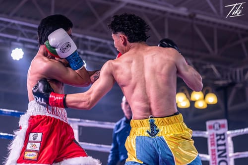 Customer photo review of TK Pro fight gloves (Horsehair)