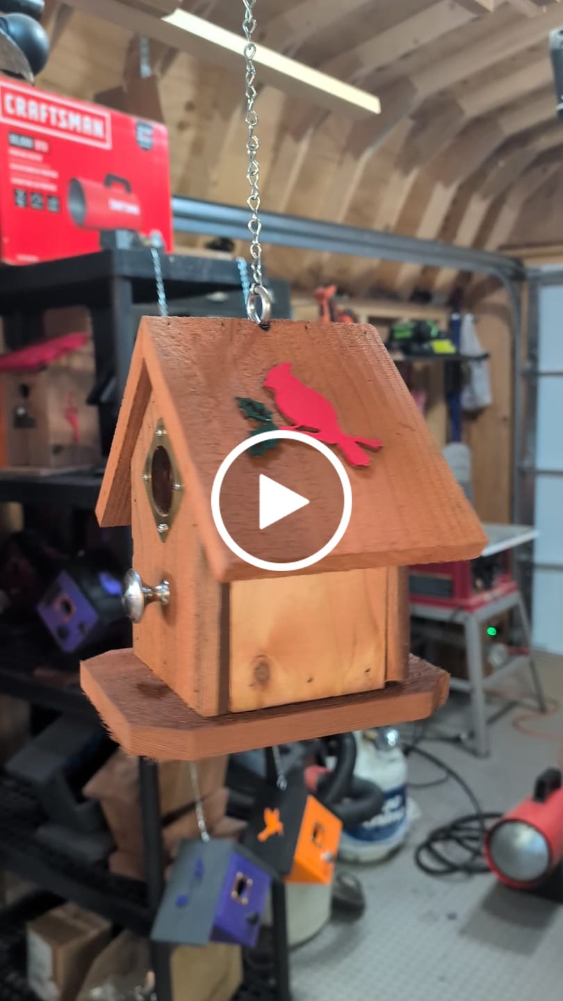 Customer video review of Unfinished Wood Bird on Branch Shape - Craft - up to 46"