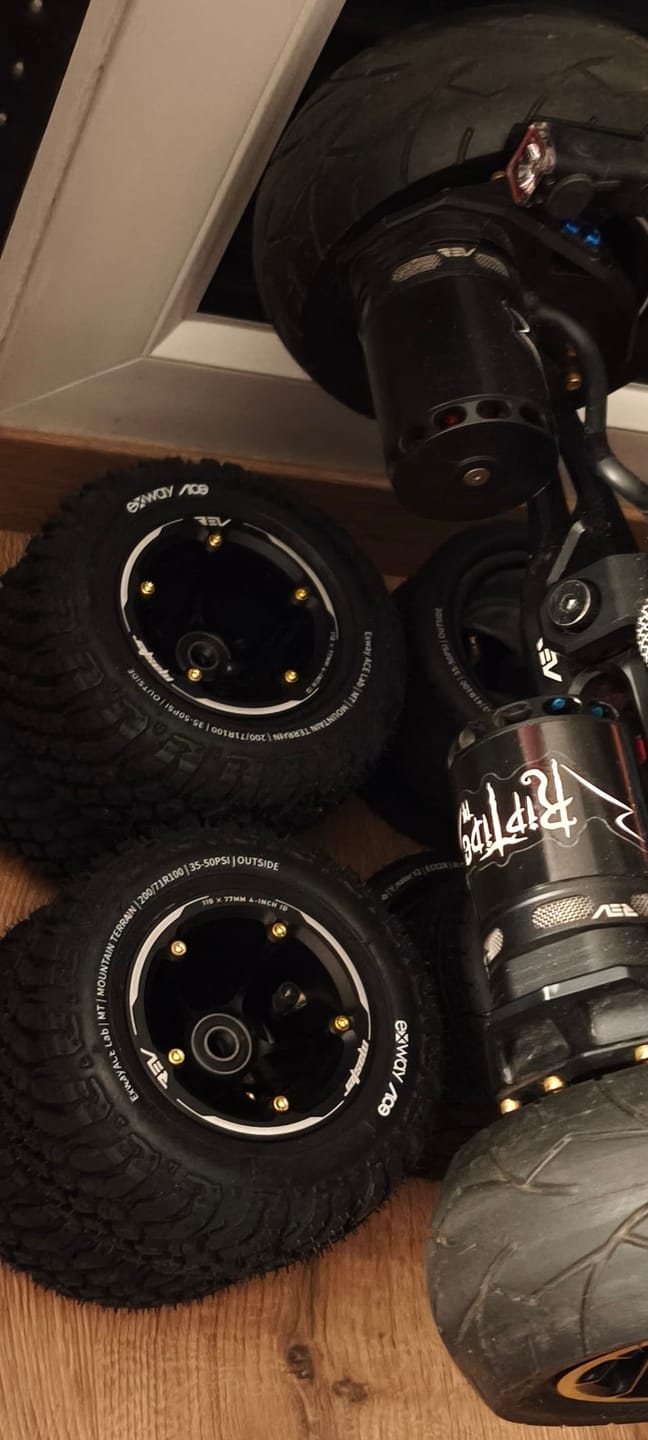 Customer photo review of Exway 162 ACE CST Track Tire