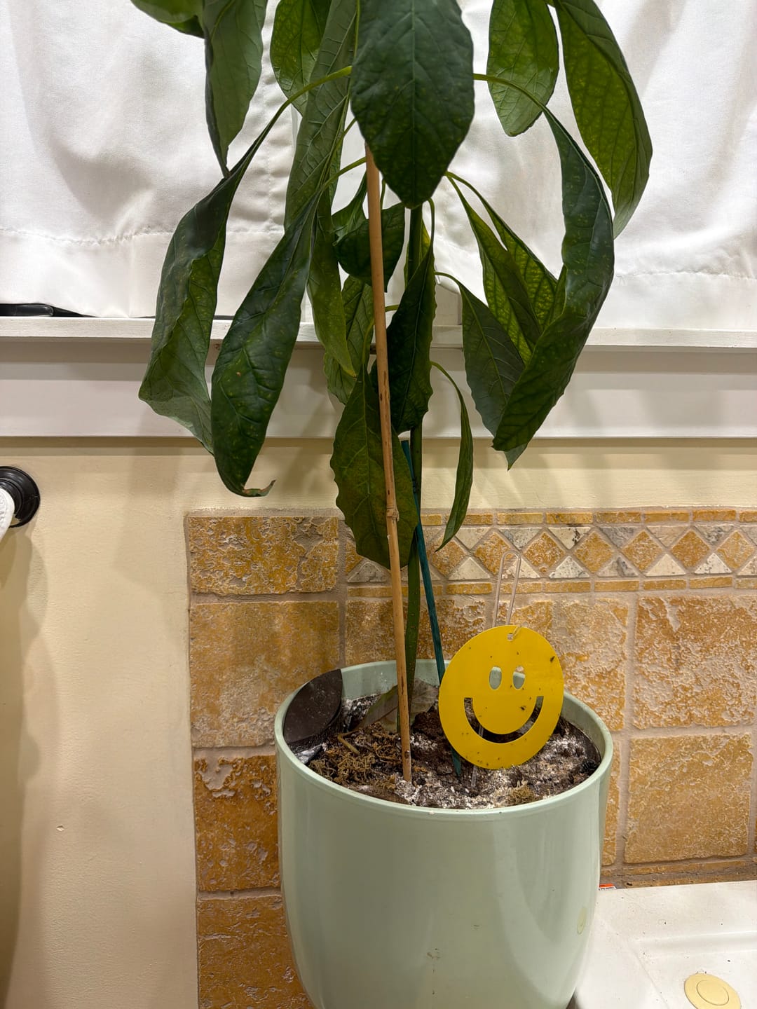 Customer photo review of Killer Smiles