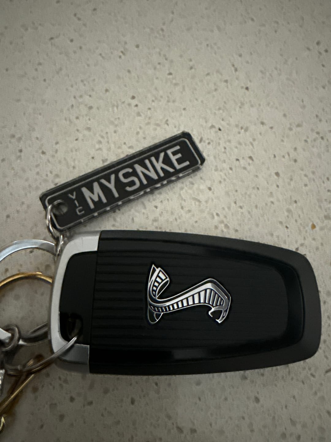 Customer photo review of VIC Deluxe Licence Plate Custom Keychain