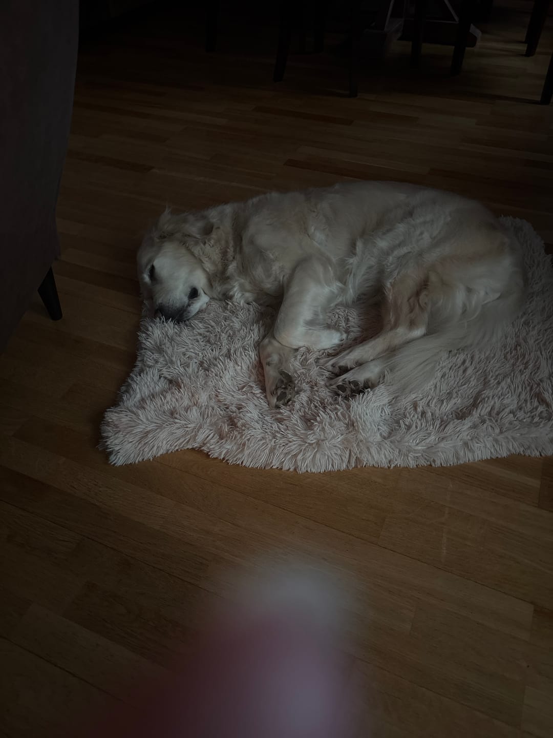 Customer photo review of CalmBlanket