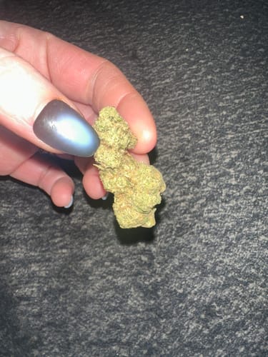 Customer photo review of Gold Spectrum THCA Flower - Exotic Quality Strain of the Month