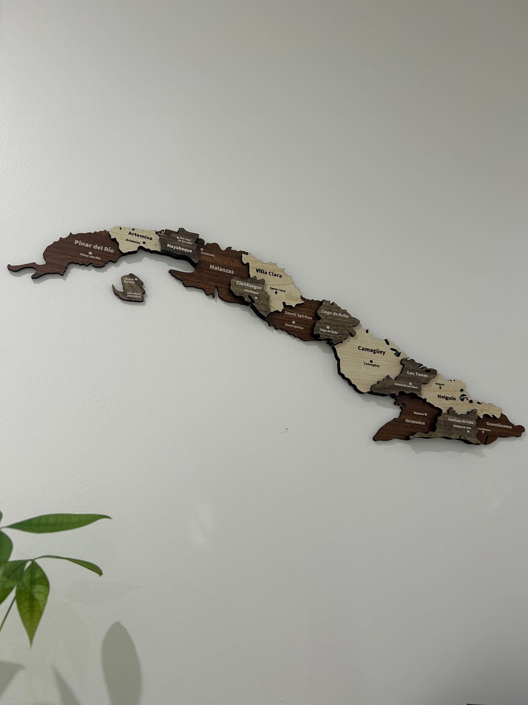 Customer photo review of 3D Wooden Multilayered Wall Map Of Cuba