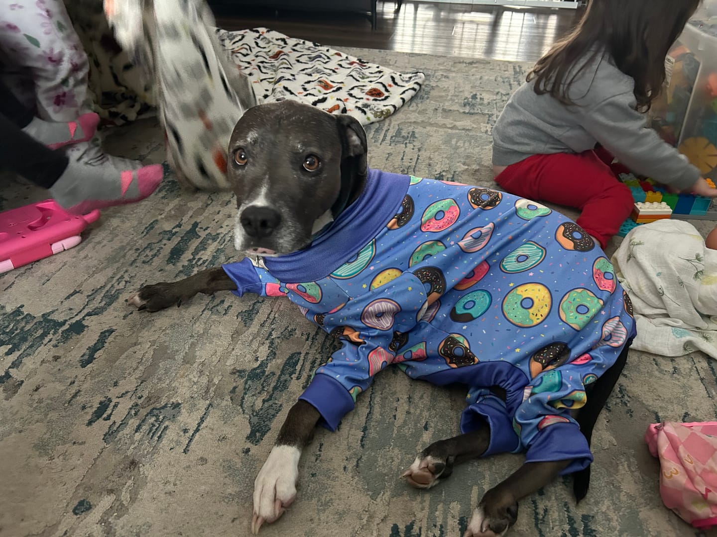 Customer photo review of Dog Pajama - Donuts
