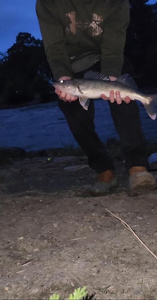 Customer photo review of The FishiPen™ Spinning Rod