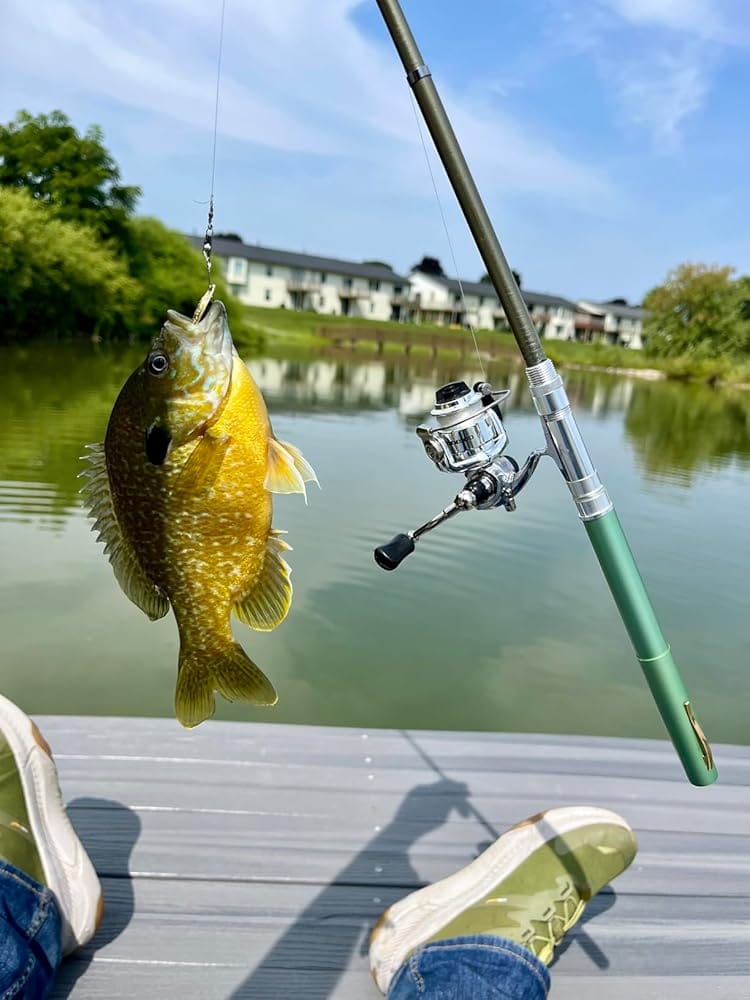 Customer photo review of The FishiPen™ Spinning Rod