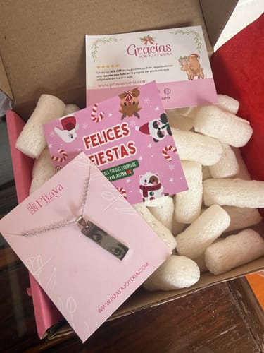 Customer photo review of Collar Placa Vertical Personalizado