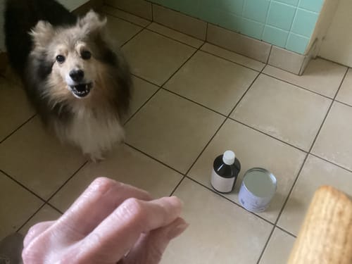 Customer photo review of Cure Articulations