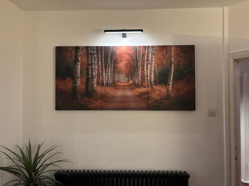 Customer photo review of Forest Trail Set of 3 Prints