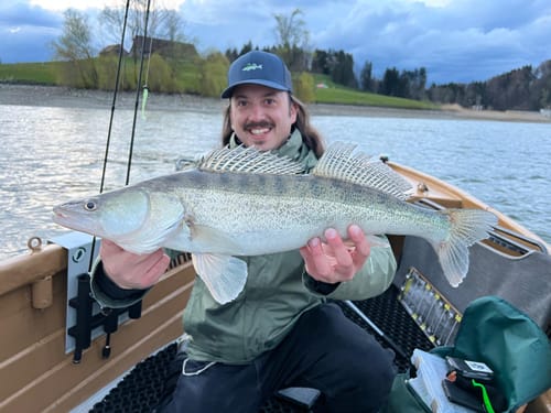 Customer photo review of Left Perch Sweatshirt