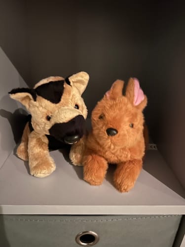 Customer photo review of Woof Woof the Dog