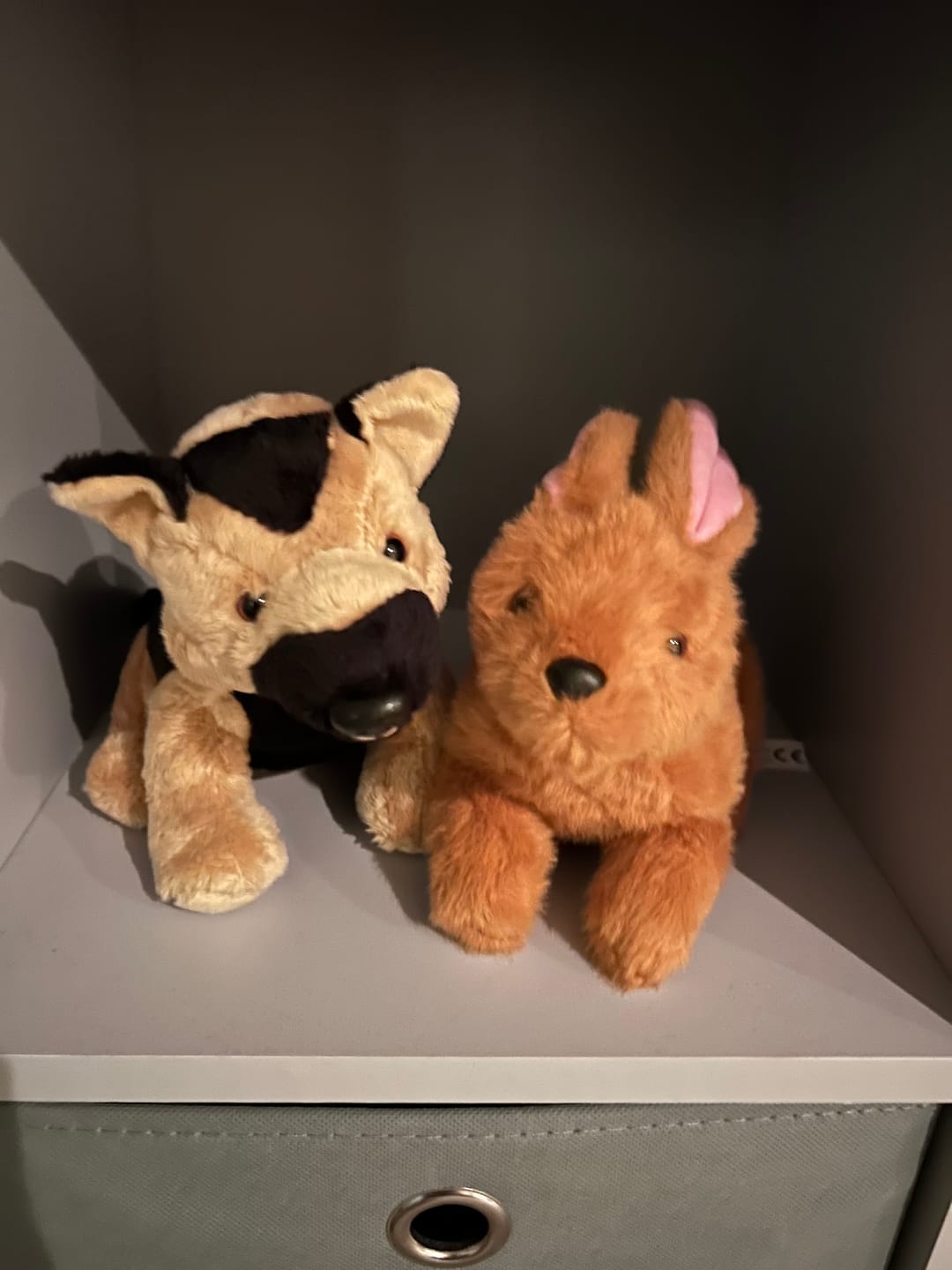Customer photo review of Woof Woof the Dog