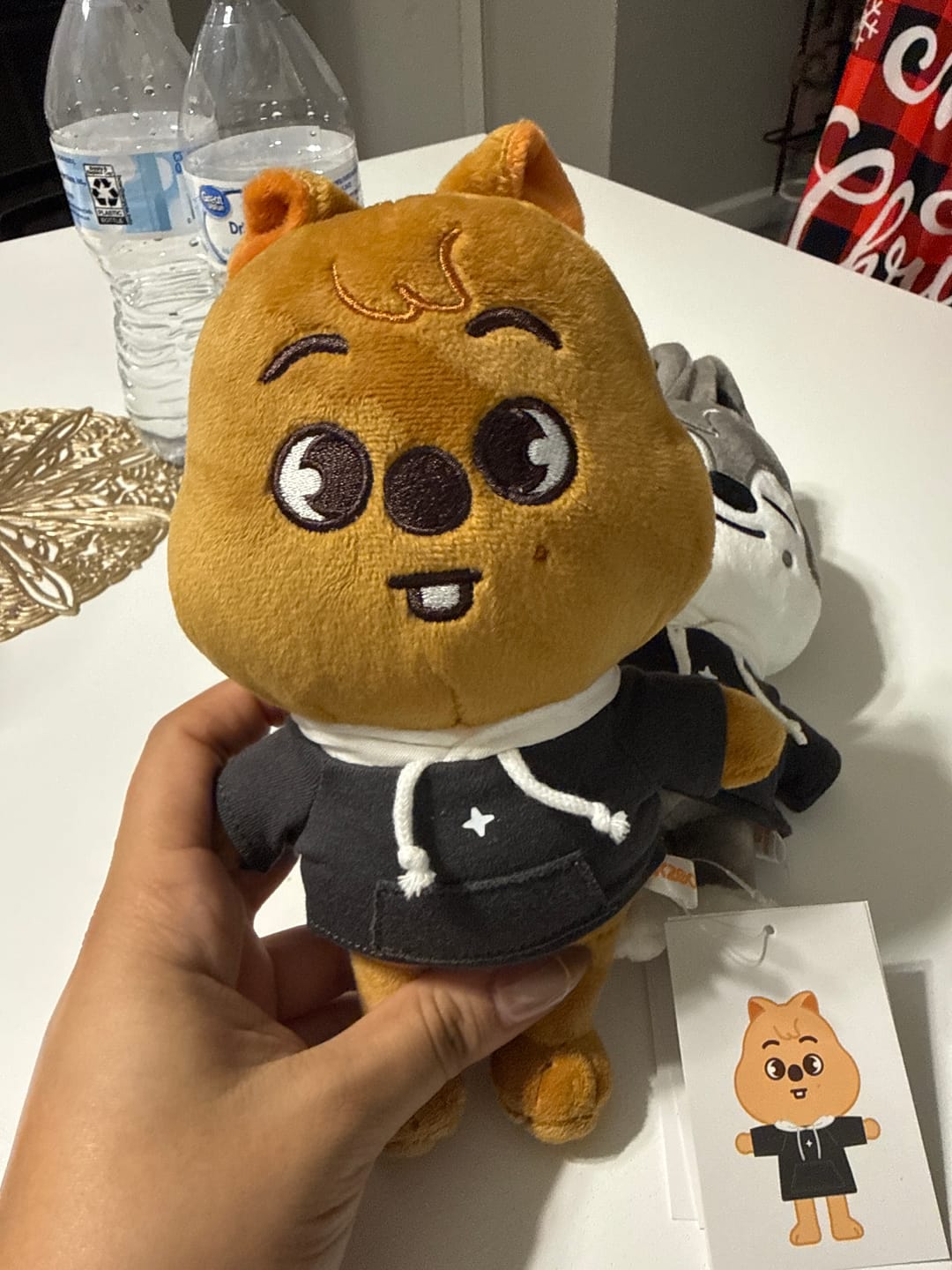 Customer photo review of STRAY KIDS - SKZ'S MAGIC SCHOOL OFFICIAL MD SKZOO PLUSH ORIGINAL VER.