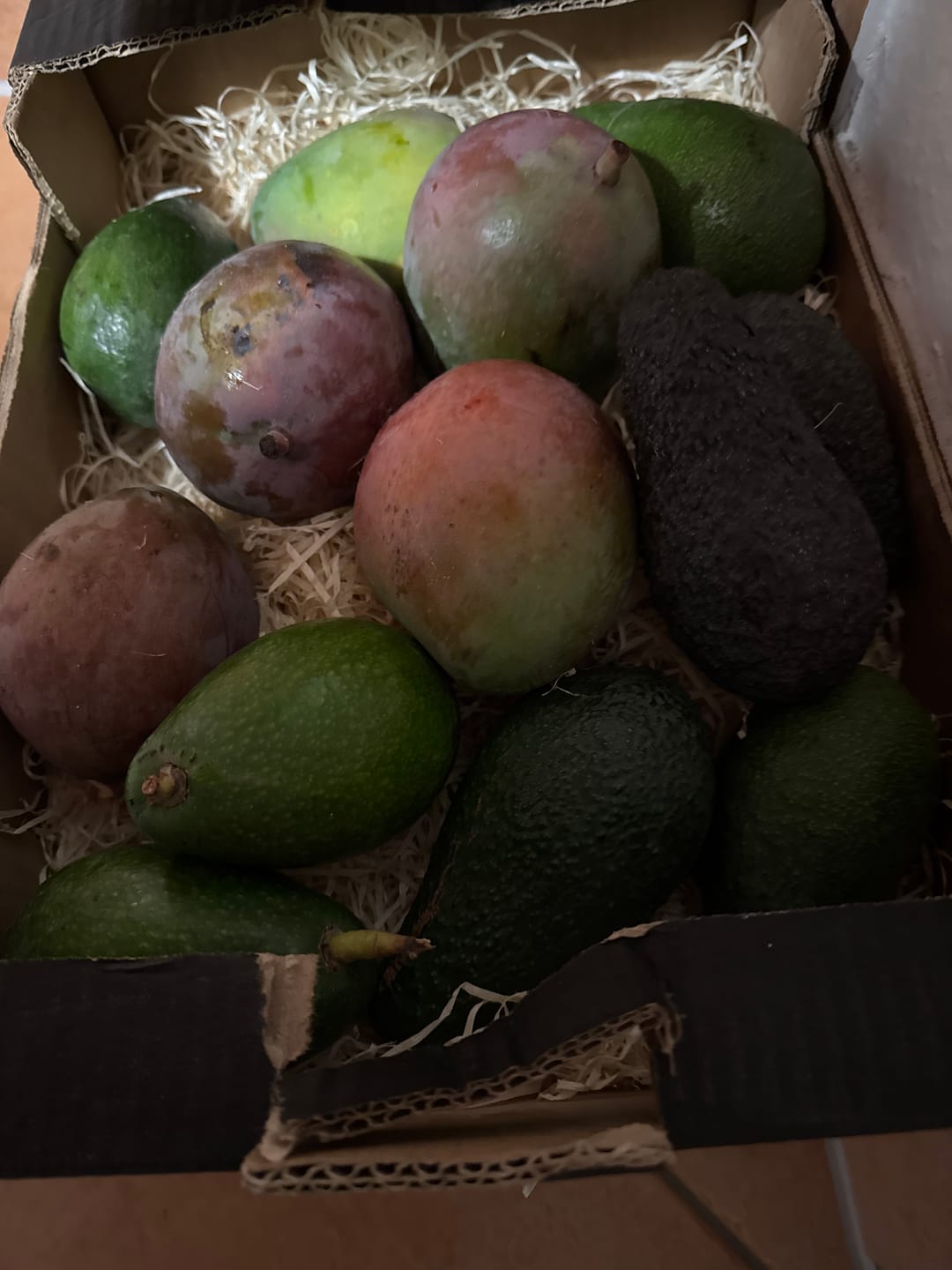 Customer photo review of Mango-Avocado Bio Box Aktionspreis % 4kg