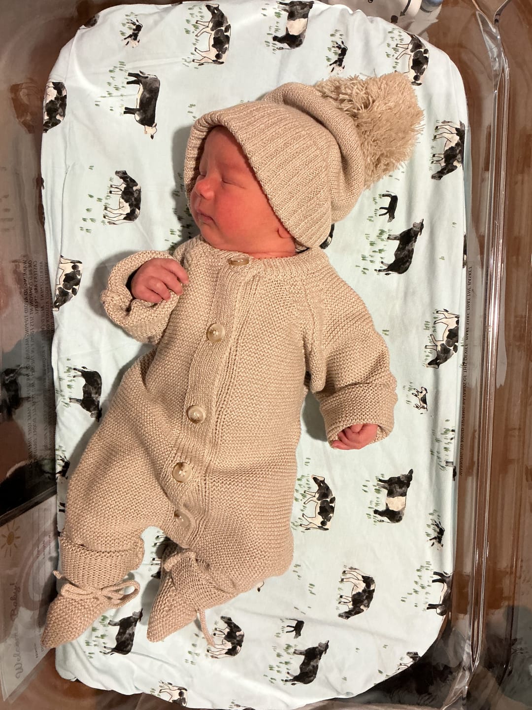 Customer photo review of Luna + Luca Pom Beanie - Heather Beige