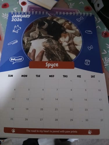 Customer photo review of Official Pupvote Cutest Pets of the Year Calendar (2026)